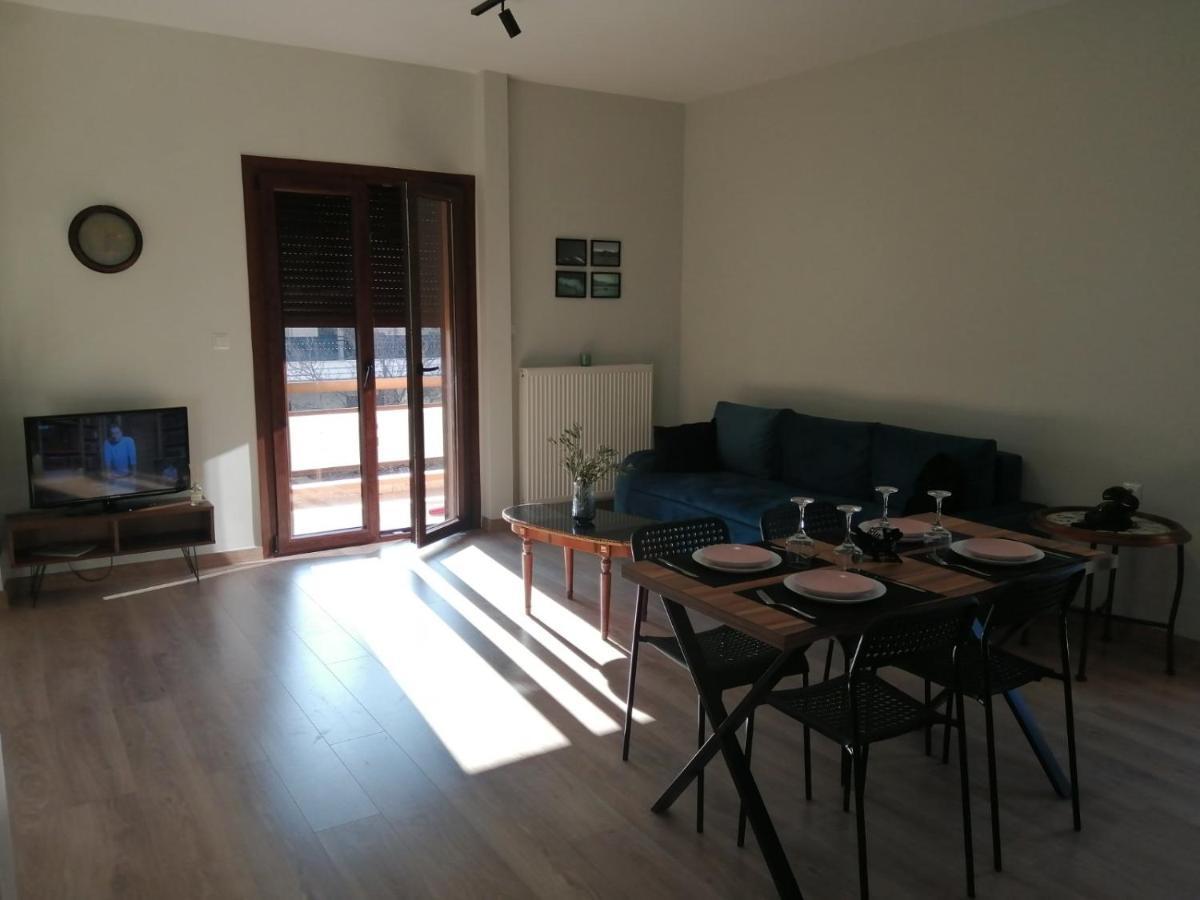 Apartamento Eleana Ioánina Exterior foto